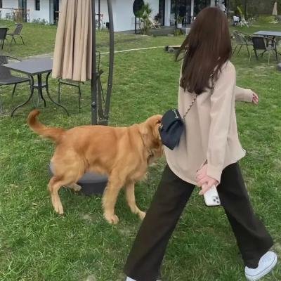 我们的情人们
